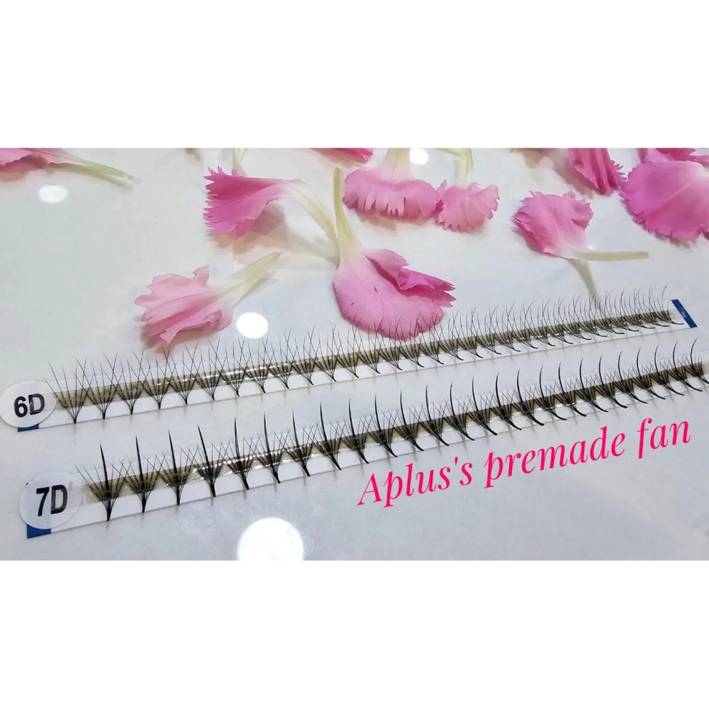 Camellia Fans