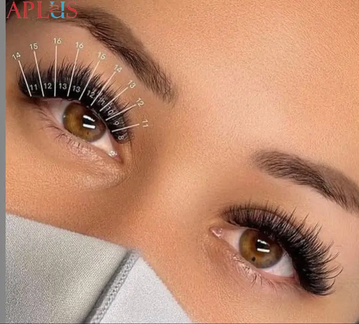 D Curl Lashes come in various sizes.