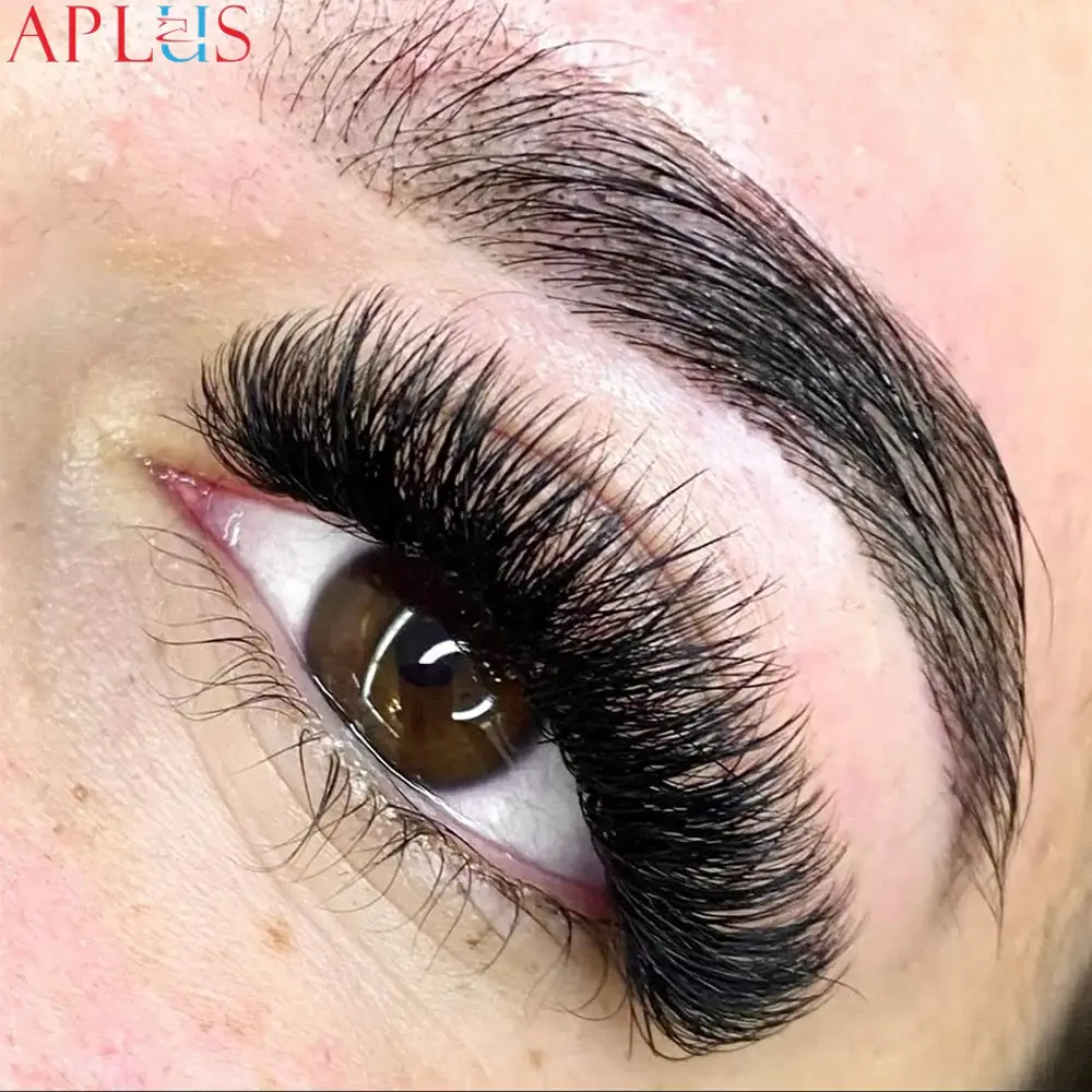 Different lash diameters impact volume, weight, and natural lash health