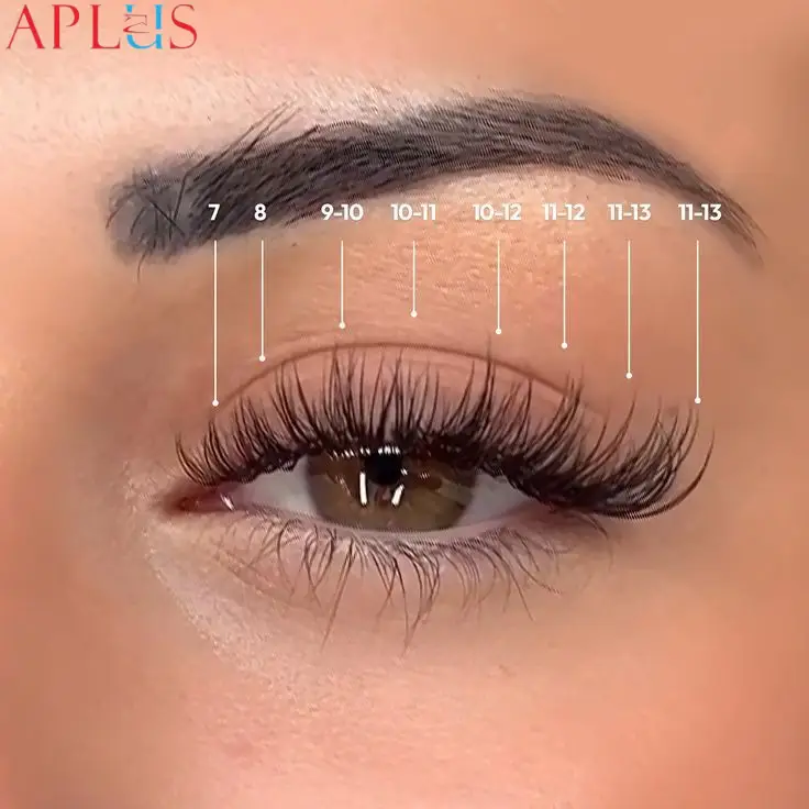 Length 8-16mm, thickness 0.07-0.10mm, customized for lashes.