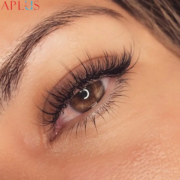 Wispy premade eyelash fans cater to a wide range of beauty professionals