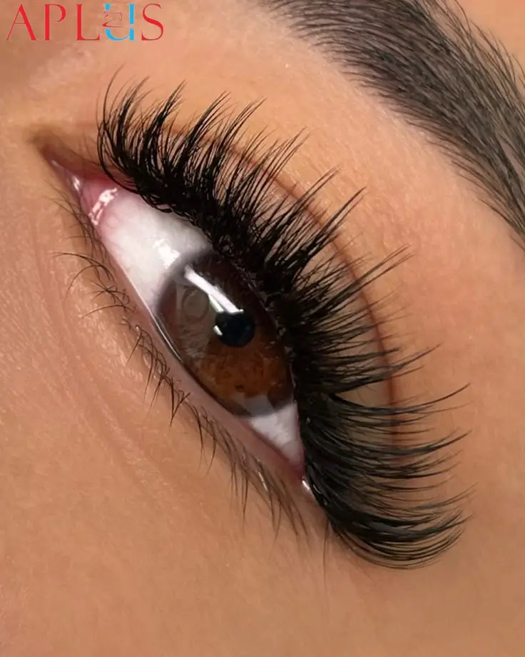 Wispy premade eyelash fans are crafted using premium synthetic PBT fiber