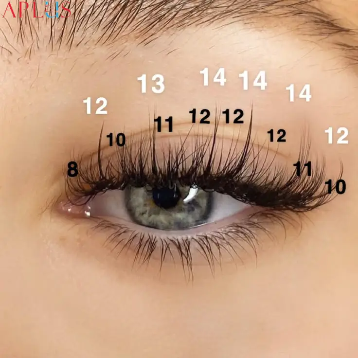 Wispy Hybrids create a natural, fluttery, and defined look