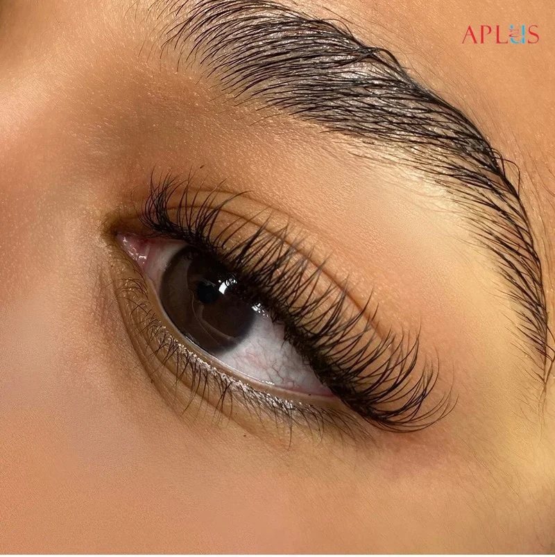 APLUS EYELASH CO., LTD