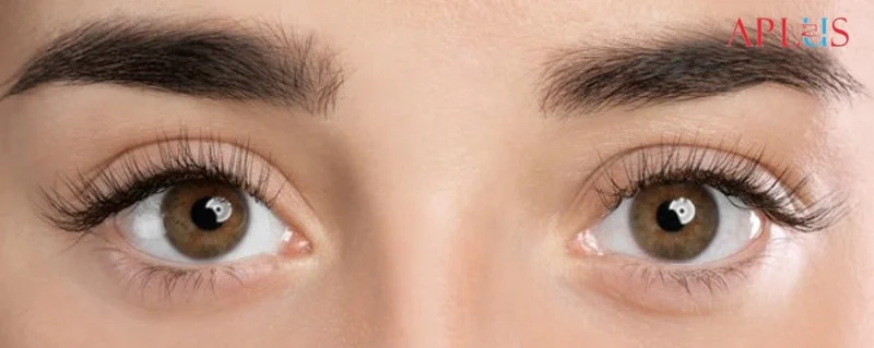 APLUS EYELASH CO., LTD