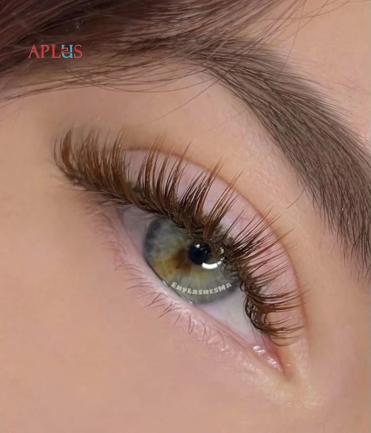 APLUS EYELASH CO., LTD