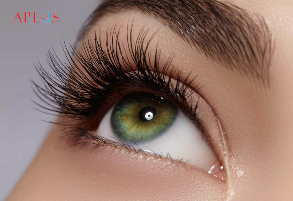 APLUS EYELASH CO., LTD
