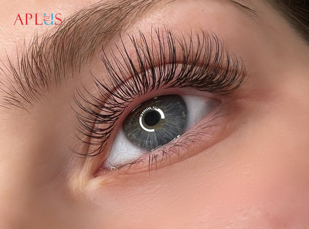 APLUS EYELASH CO., LTD