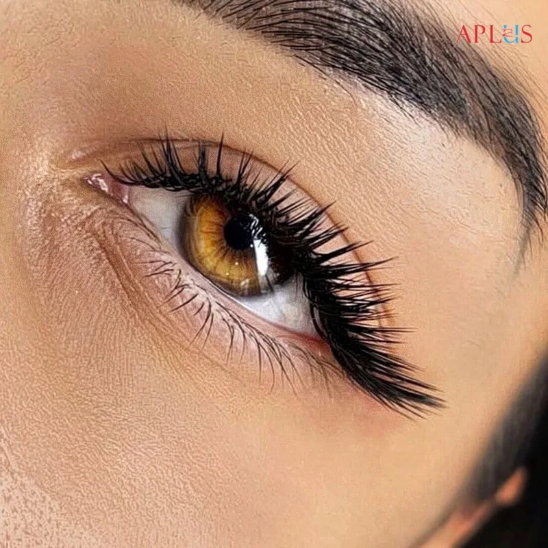 APLUS EYELASH CO., LTD
