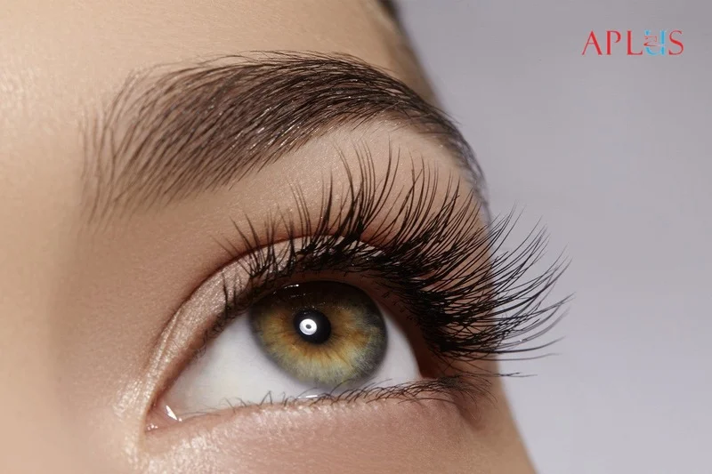 APLUS EYELASH CO., LTD