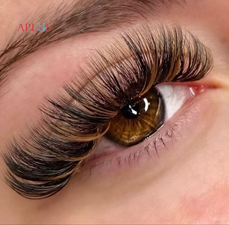 APLUS EYELASH CO., LTD