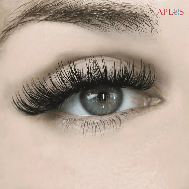 APLUS EYELASH CO., LTD