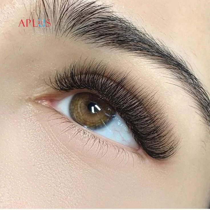 APLUS EYELASH CO., LTD