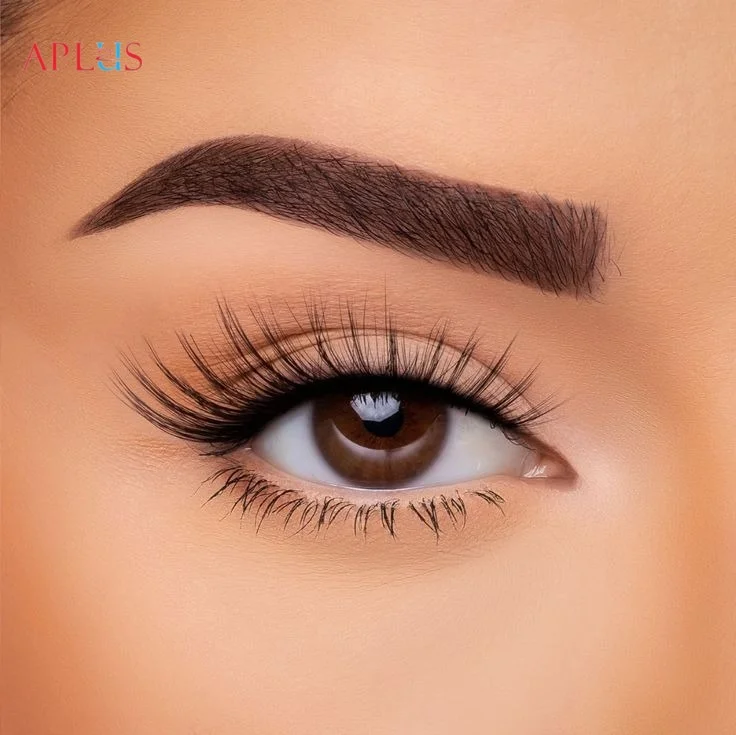 Leading brands like Eyelash Plus specialize in providing high-quality eyelash extensions for beauty salons.