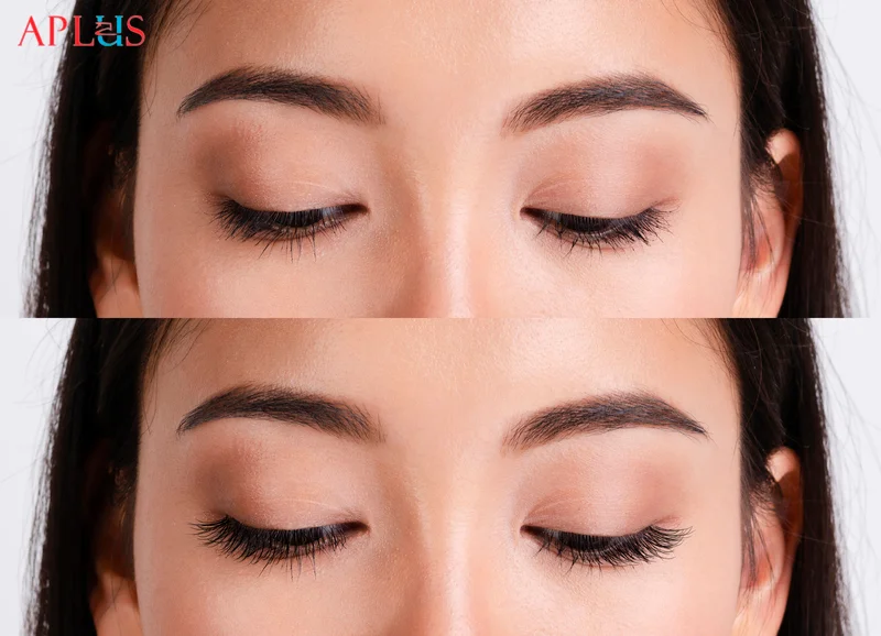 APLUS EYELASH CO., LTD