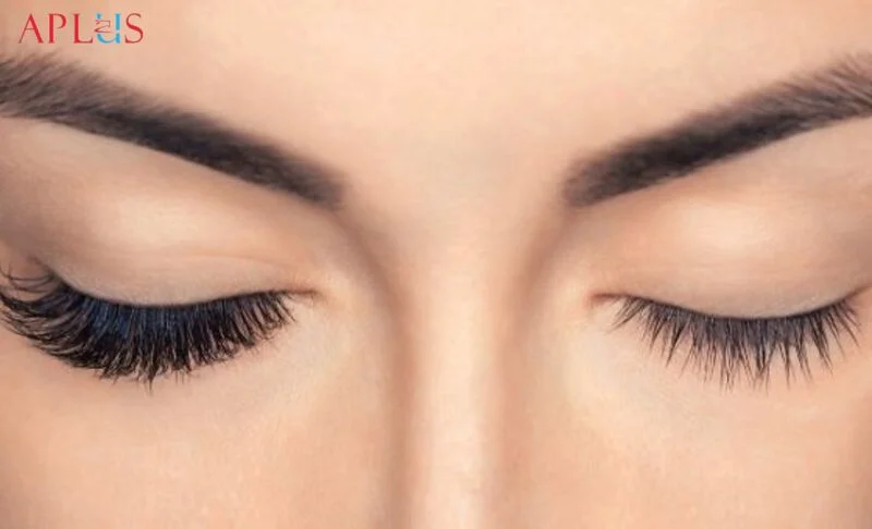 APLUS EYELASH CO., LTD