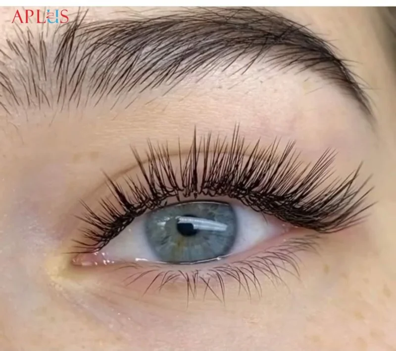 APLUS EYELASH CO., LTD