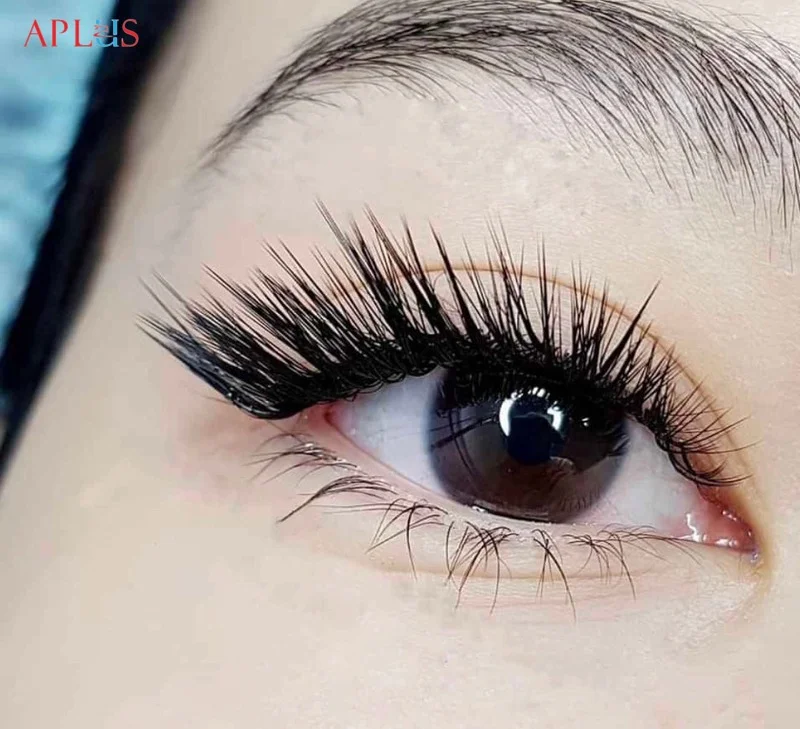 APLUS EYELASH CO., LTD