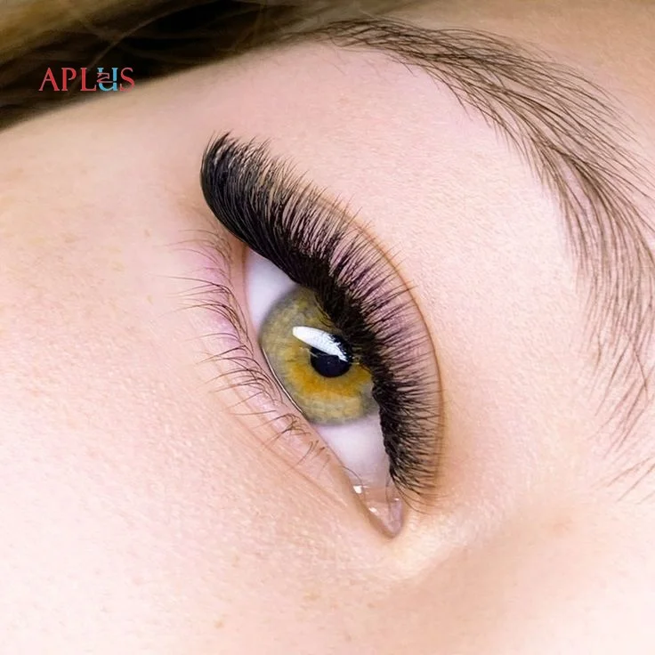 Black volume lashes are highly versatile