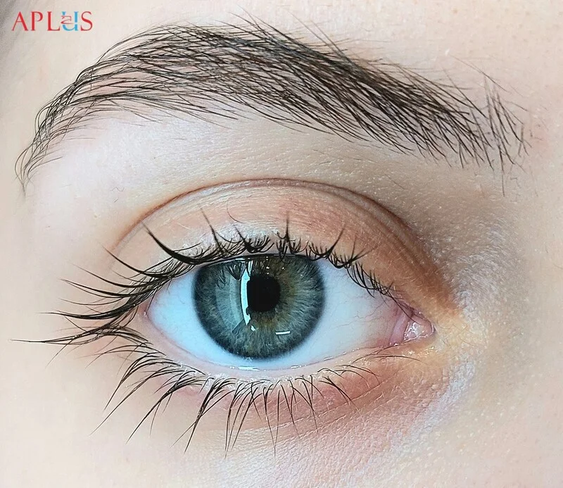 APLUS EYELASH CO., LTD
