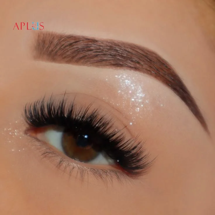 Guide to Purchasing Black Volume Lashes in Bulk
