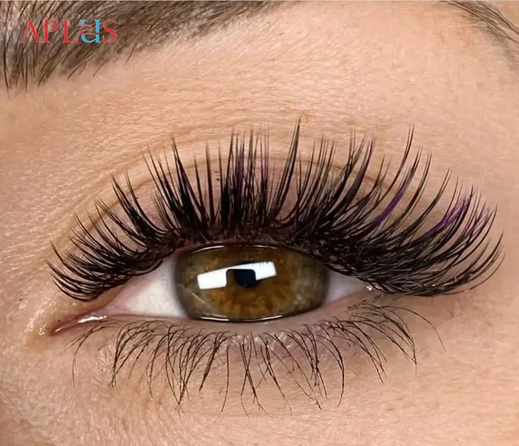 APLUS EYELASH CO., LTD