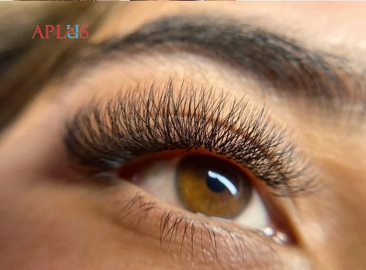 APLUS EYELASH CO., LTD