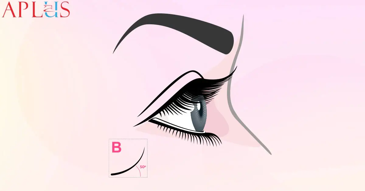 B Curl volume lashes are a popular choice for clients seeking a natural yet enhanced look