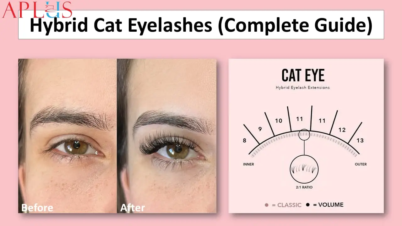Hybrid Cat Eyelashes: Create a sultry, elongated eye shape with longer lashes at the corners.