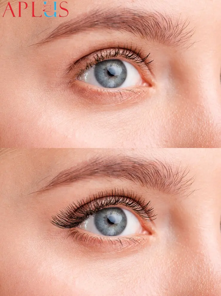 C curl volume lashes are a must-have for lash salons