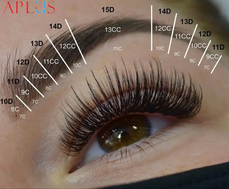 Common Lash Lengths for Different Effects