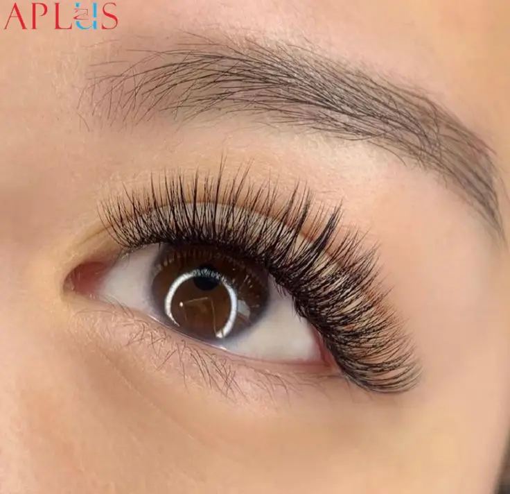 Black Hybrid Lashes: A classic, bold choice for stunning eyes.
