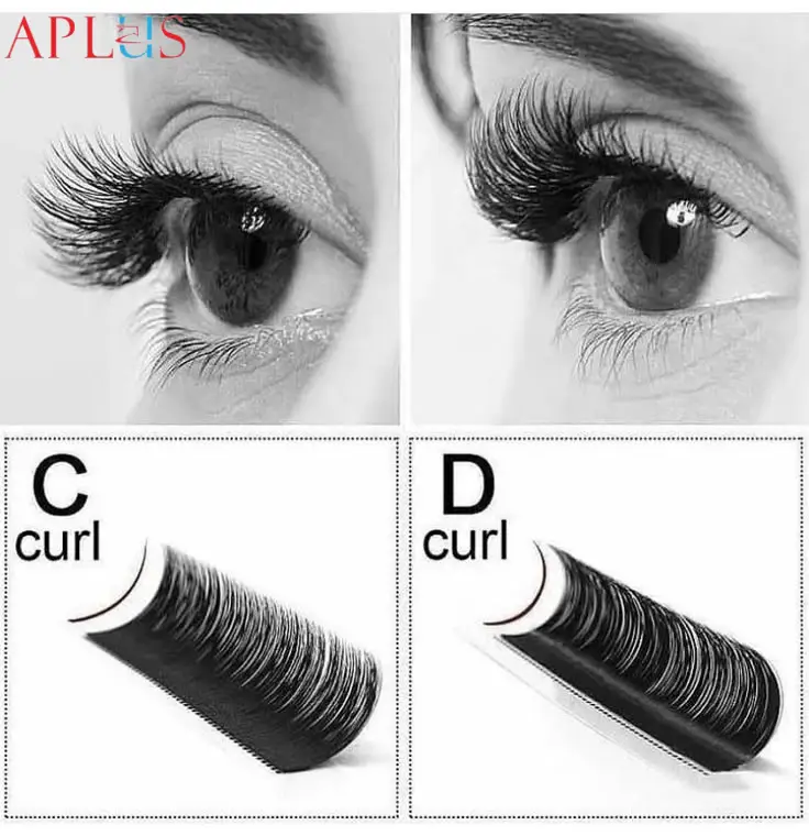 D Curl Volume Lashes are a top choice for lash artists and wholesalers looking to create a striking