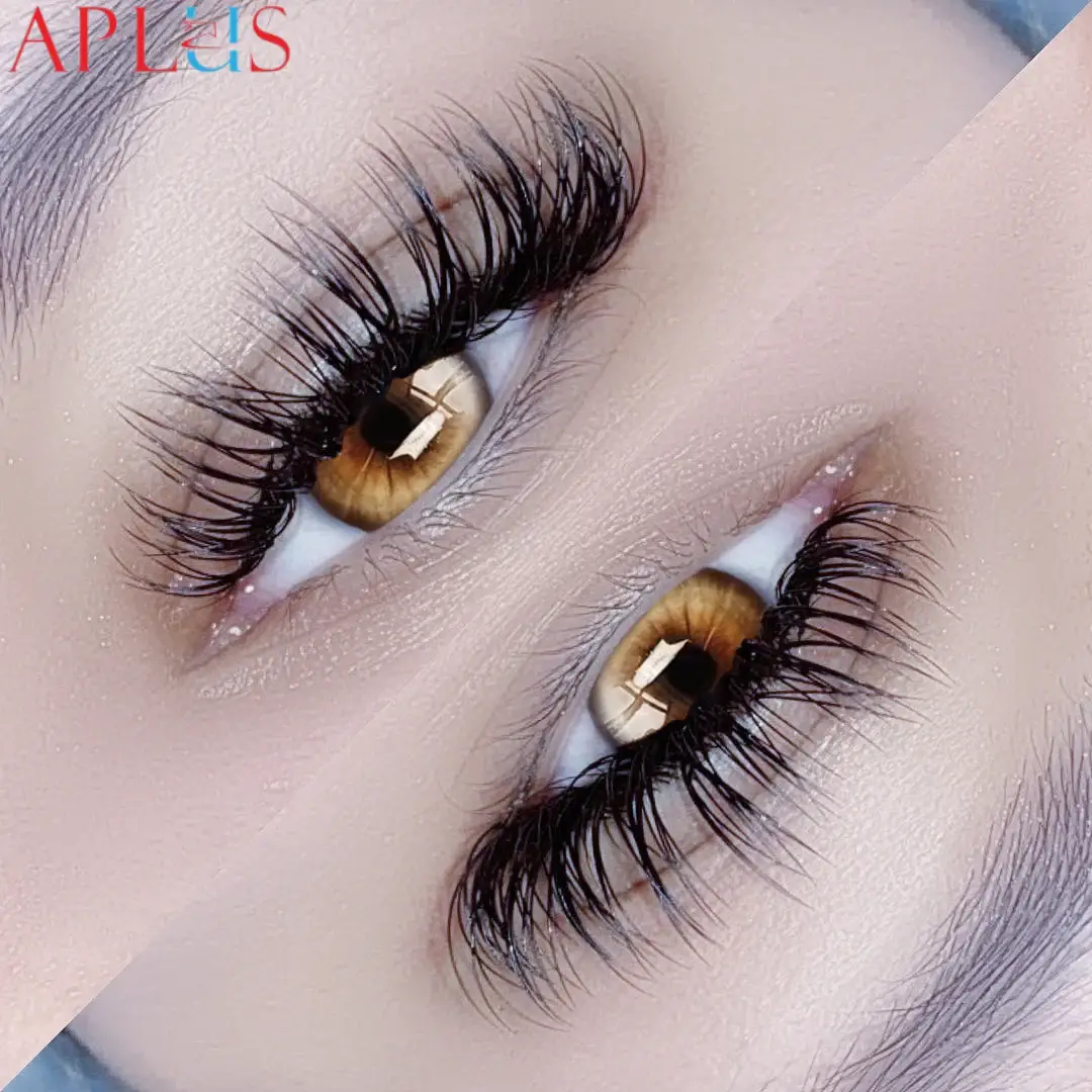 D Curl Volume Lashes are premium lash extensions